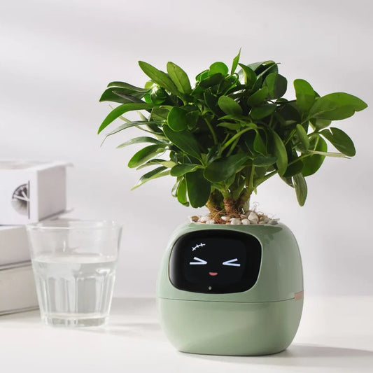 Smart Planter – 7 Sensors & AI for Easy, Fun Plant Care
